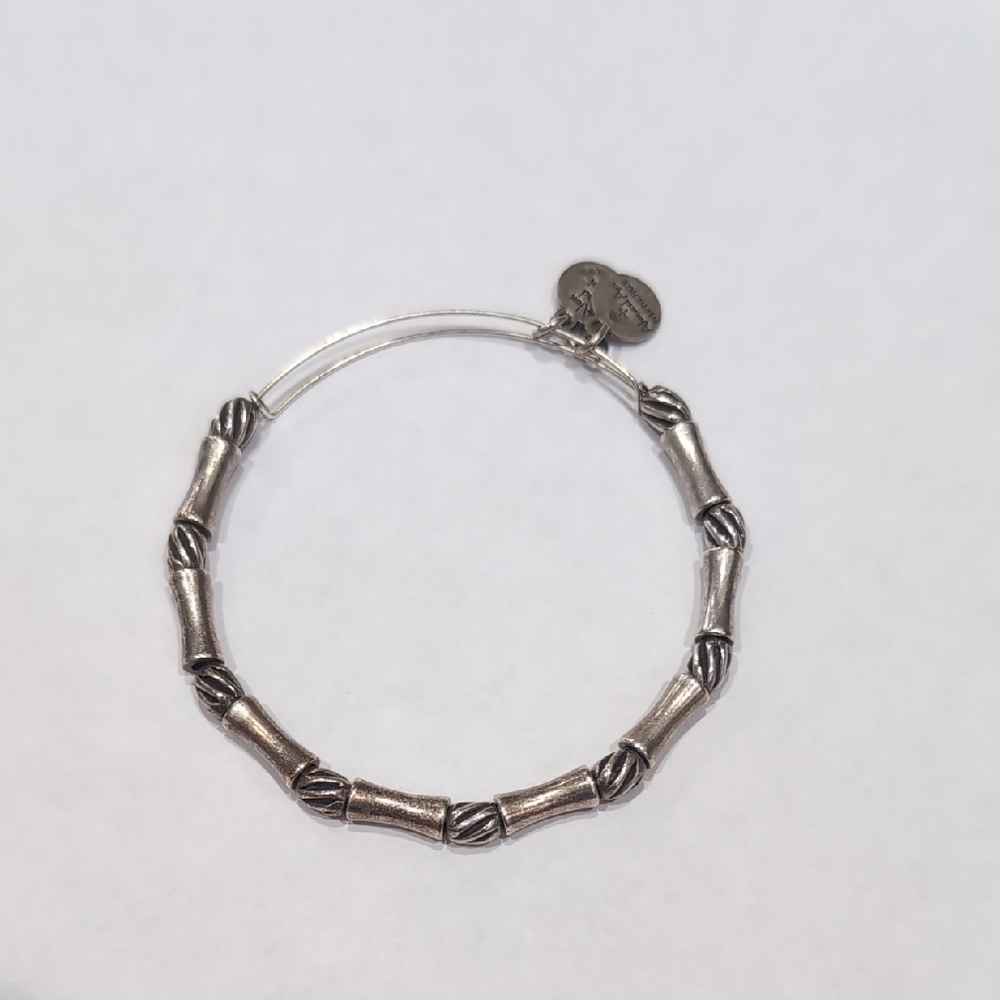 Alex and Ani Silver Bamboo Charm Bracelet